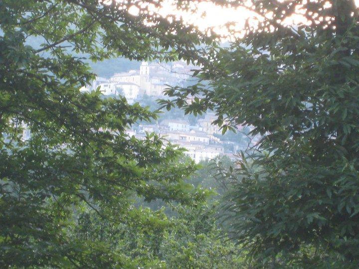 Myriam Country House B&B Мерколяно Екстериор снимка